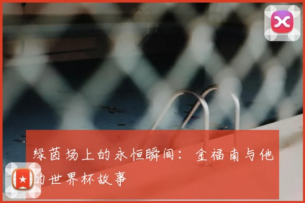 绿茵场上的永恒瞬间：金福南与他的世界杯故事