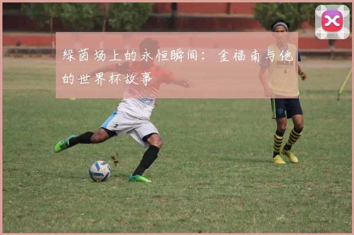 绿茵场上的永恒瞬间:金福南与他的世界杯故事