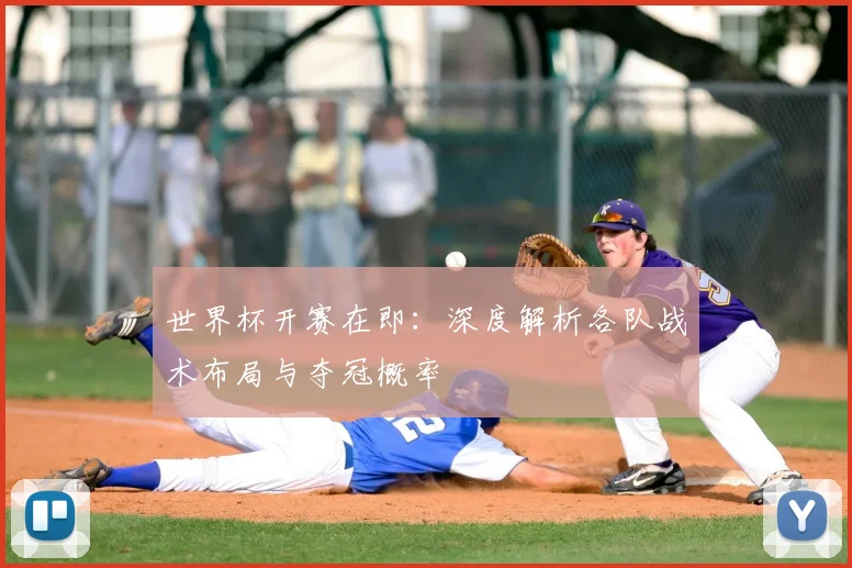 世界杯开赛在即:深度解析各队战术布局与夺冠概率