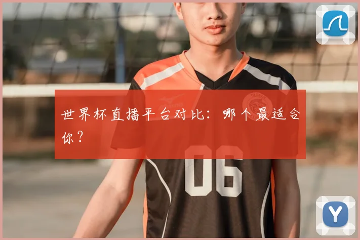 世界杯直播平台对比：哪个最适合你？