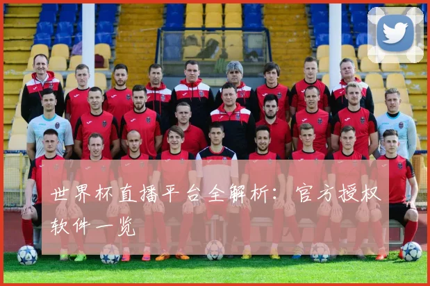 世界杯直播平台全解析:官方授权软件一览