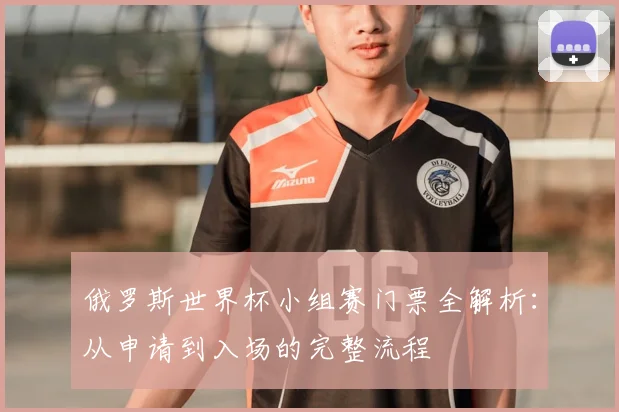 俄罗斯世界杯小组赛门票全解析:从申请到入场的完整流程
