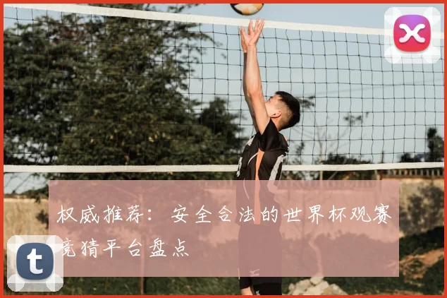 权威推荐:安全合法的世界杯观赛竞猜平台盘点