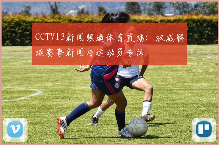CCTV13新闻频道体育直播：权威解读赛事新闻与运动员专访
