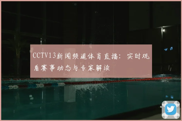 CCTV13新闻频道体育直播：实时观看赛事动态与专家解读